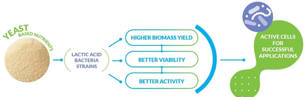 Nitrogen sources: key process optimization factors for probiotics  production • Procelys