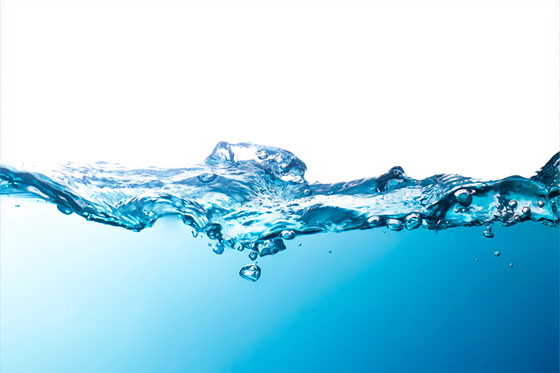 Which Nutrient for Which Hyaluronic Acid Application